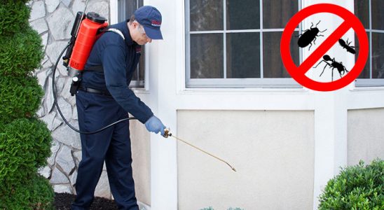 Karabük Gümüşkurt İlaçlama böcek ilaçlama ve haşere kontrolü — ilaclama-tr.com